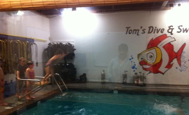 Photo of Toms Dive & Swim