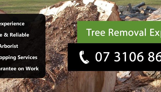 Photo of PRO Tree Removal Brisbane