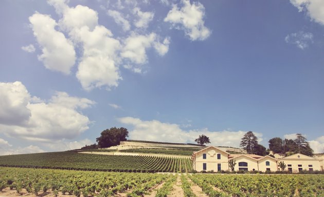 Photo de Bordeaux Wine Trip. Guided Wine Tasting and Vineyard Tours in Bordeaux