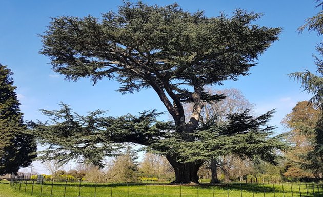 Photo of Forty Hall Country Park