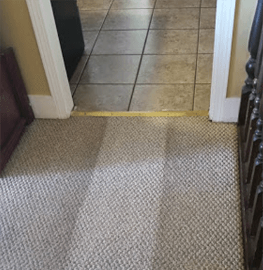 Photo of Lower Mainland Carpet Cleaning