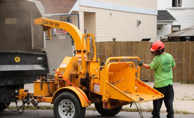 Photo of Croft Tree Experts