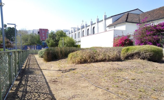 Photo of Old Plaza Church Cemetery