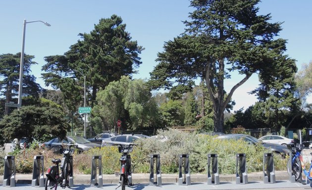 Photo of Frederick & Arguello Native Plant Street Park