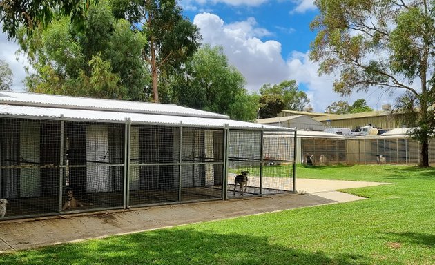 Photo of Golden Grove Boarding Kennels & Cattery