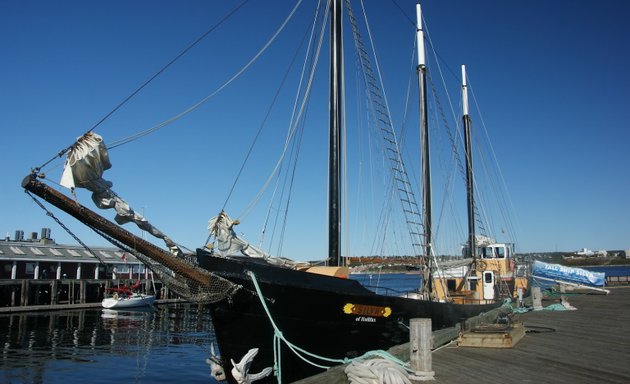 Photo of Tall Ship Silva