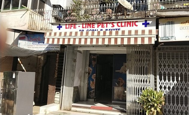 Photo of Life - Line Pet's Clinic