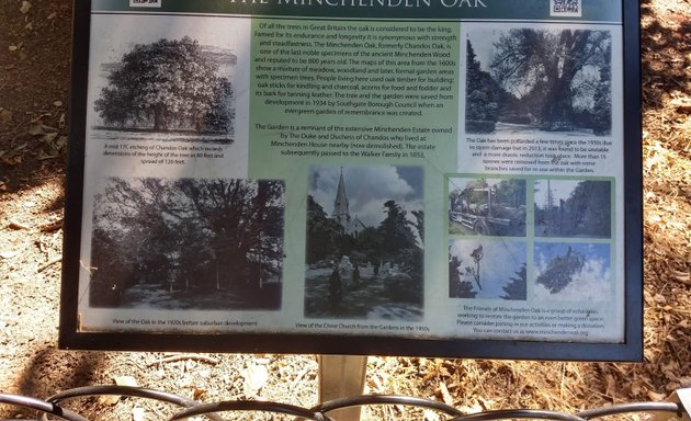 Photo of Minchenden Oak Garden