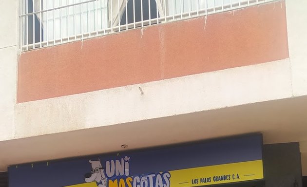 Foto de Unimascotas los palos grandes ca