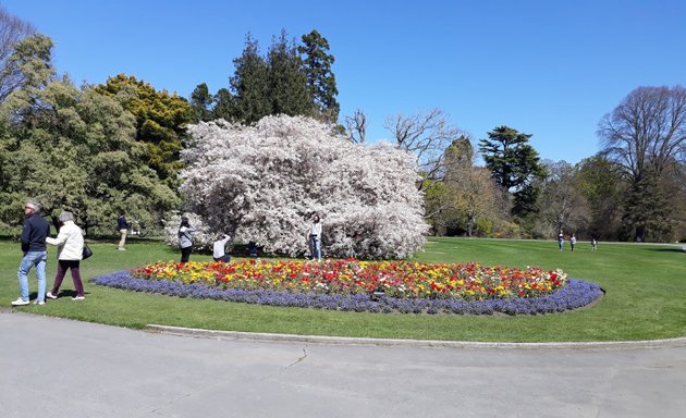Photo of Botanic Gardens Playground