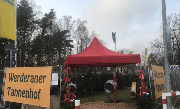 Foto von Werderaner Tannenhof - Weihnachtsbäume Tannen