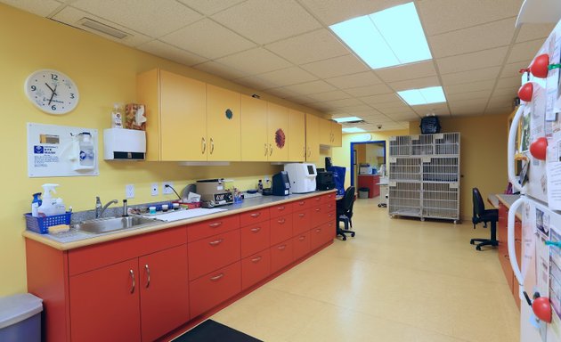 Photo of Okanagan Veterinary Hospital