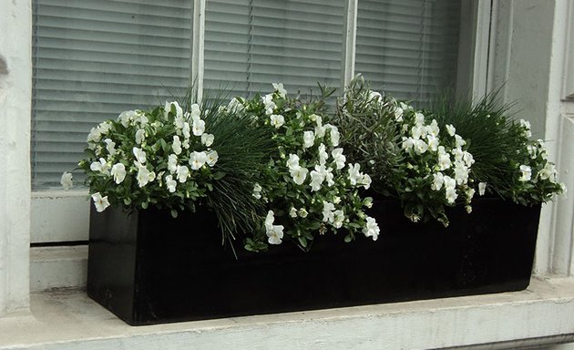 Photo of Leafgreen Displays Ltd