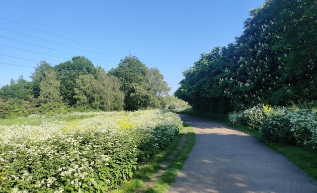 Photo of Walthamstow Marshes