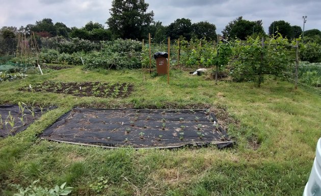 Photo of Perretts Field Allotments