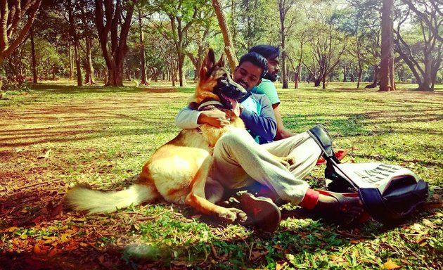 Photo of Venu's Pet Care