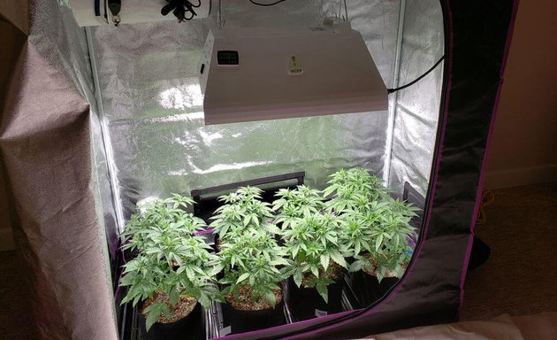 Photo of Lite It Up Hydroponics