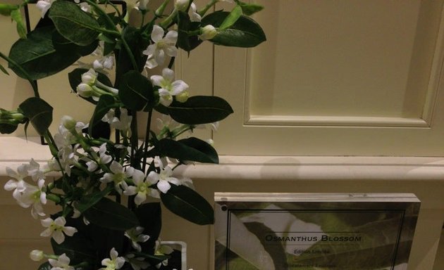 Photo de Jo Malone London