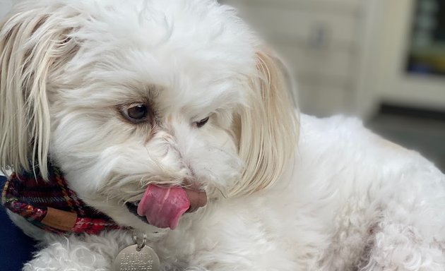 Photo of Jess Rona Grooming