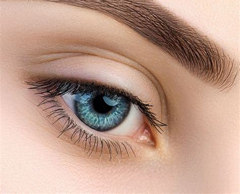 Photo of Vita Brows