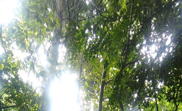 Photo of Hutan Simpan Bukit Seraya