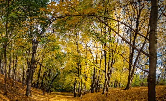 Photo of West Toronto CBT