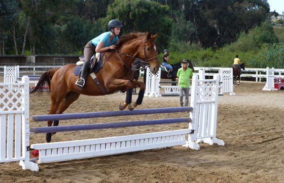 Photo of Rancho El Camino Equestrian Horse Boarding and Lessons