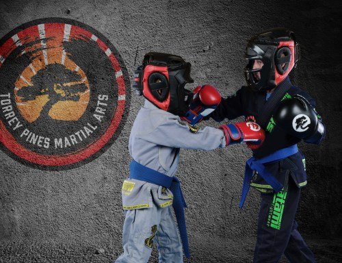 Photo of Torrey Pines Martial Arts