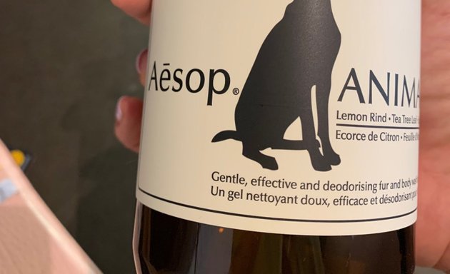 Photo of Aesop