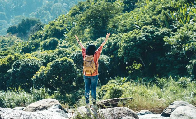 Photo of Sikkim Safari