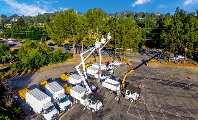 Photo of Legacy Tree Care