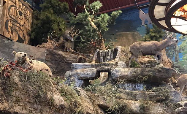 Photo of Bass Pro Shops