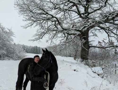 Foto von SAM Sattel Atlas Mayr