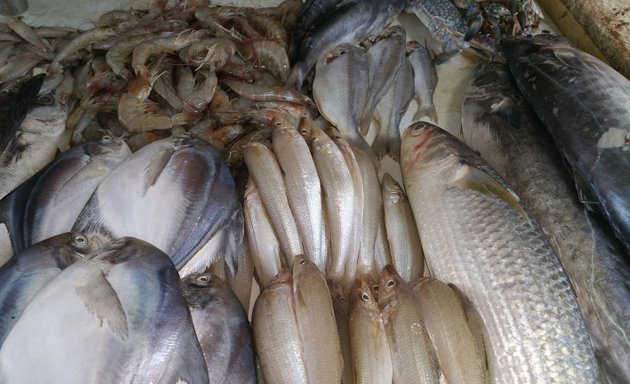 Photo of M D Kamaal Fish Stall