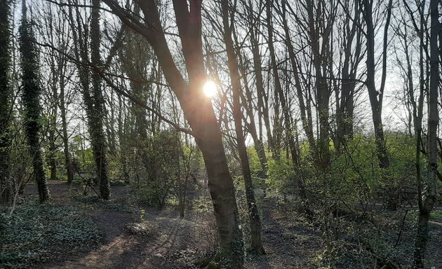 Photo of Springfield Mill Park