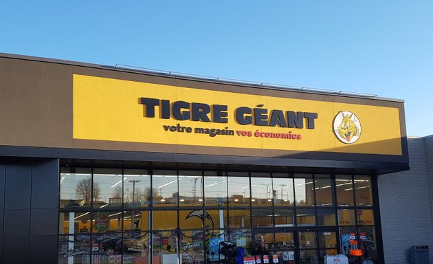 Photo of Tigre Géant