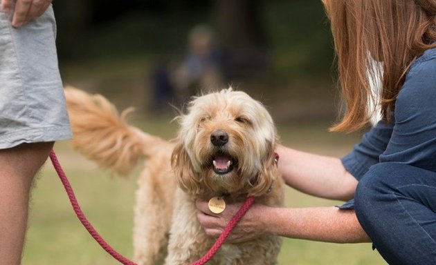 Photo of Medivet Highgate - Pet Vet