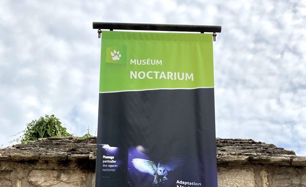 Photo de Noctarium (Muséum de Besançon)