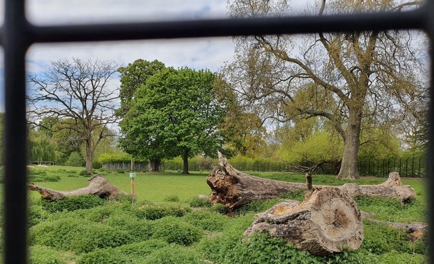 Photo of Clissold Park Deer