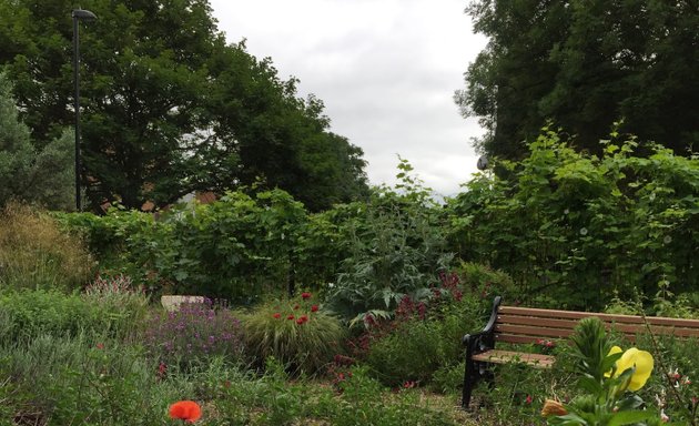 Photo of Frendsbury Gardens