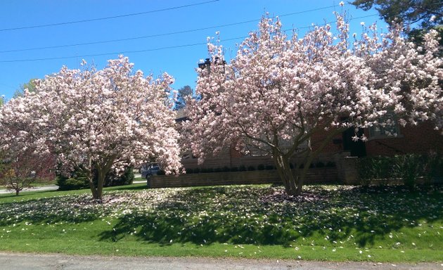 Photo of Hilldowntree Parkette