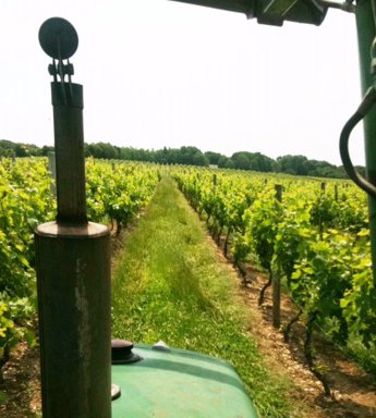 Photo of Carpé Vino Tasting Room