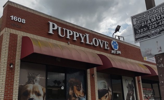 Photo of Puppy Love Pet Spa