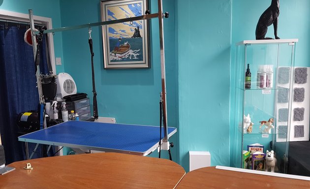 Photo of Blade Angels Dog Grooming
