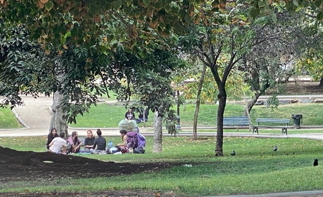 Foto de Parque Forestal