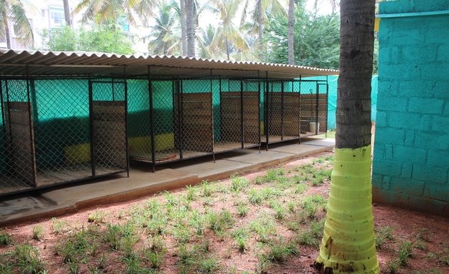 Photo of K9 Pro India Dog Boarding Facility