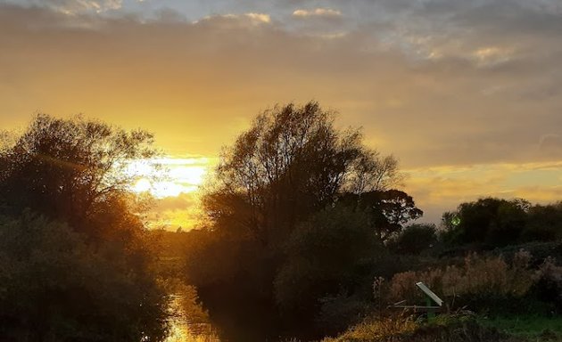 Photo of Wheldrake Ings Nature Reserve