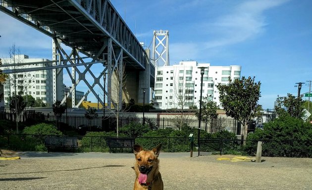 Photo of Rincon Hill Dog Park