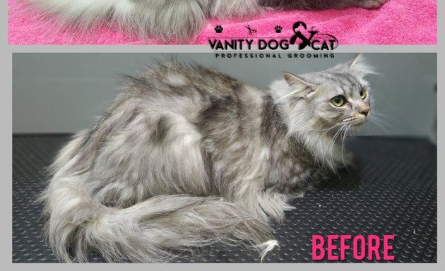 Photo of Vanity Dog and Cat Professional Grooming