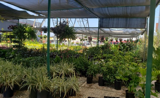 Photo of Ventura Nurseries